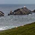 Shetland 249 copia